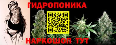 мяу мяу мука Лесосибирск